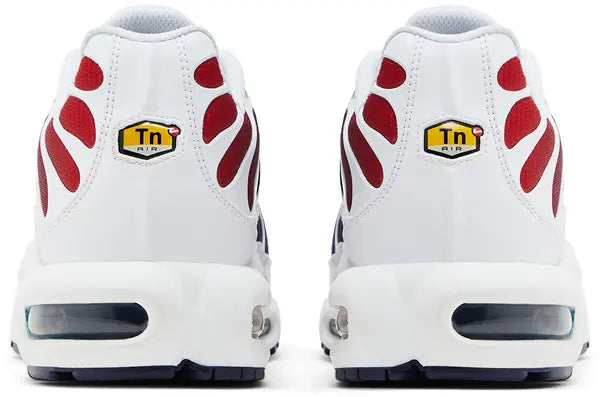 Nike Air Max Plus TN "PSG"
